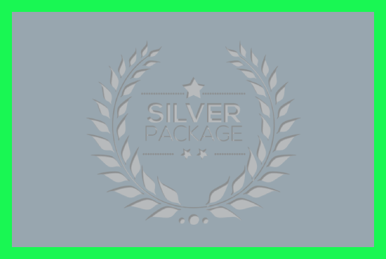 Silver Package